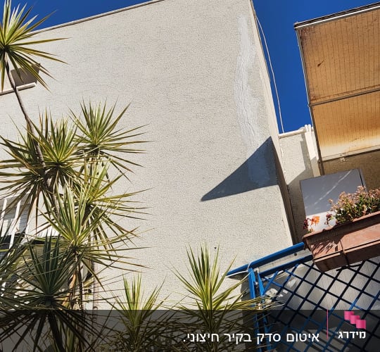קיר חיצוני עם צמחייה וצללים